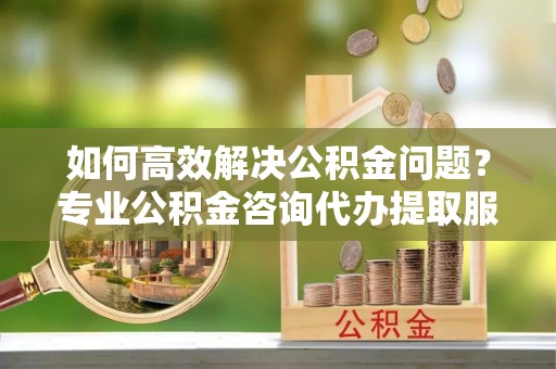 阿拉善左旗如何高效解决公积金问题？专业公积金咨询代办提取服务来帮你