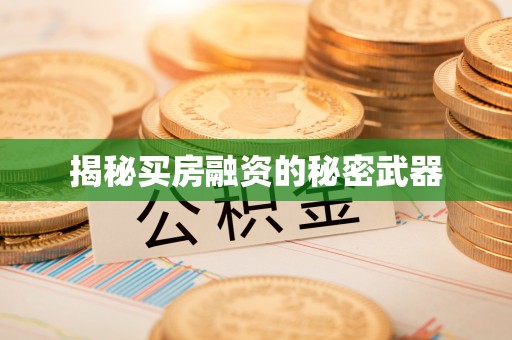 阿拉善左旗揭秘买房融资的秘密武器