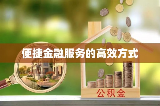 阿拉善左旗便捷金融服务的高效方式
