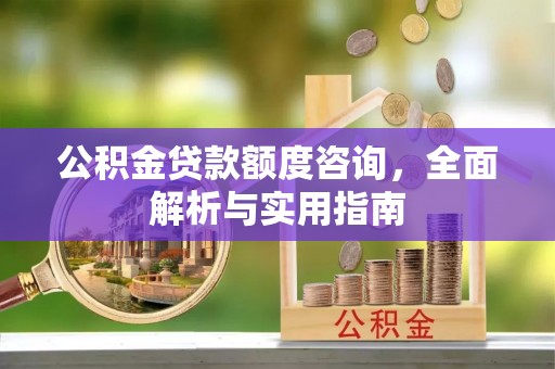 阿拉善左旗公积金贷款额度咨询，全面解析与实用指南