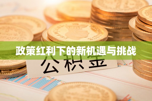 阿拉善左旗政策红利下的新机遇与挑战