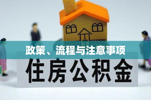 阿拉善左旗政策、流程与注意事项