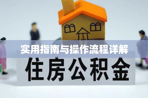 阿拉善左旗实用指南与操作流程详解