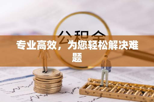 阿拉善左旗专业高效，为您轻松解决难题