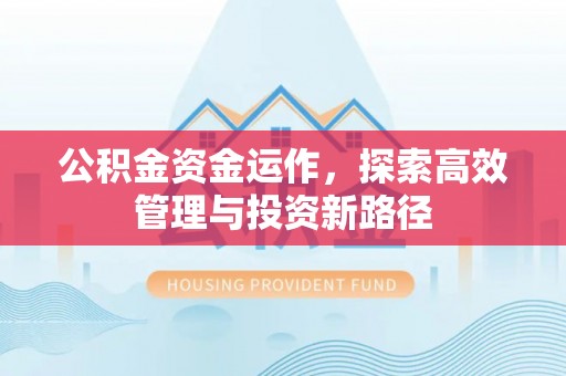 阿拉善左旗公积金资金运作，探索高效管理与投资新路径