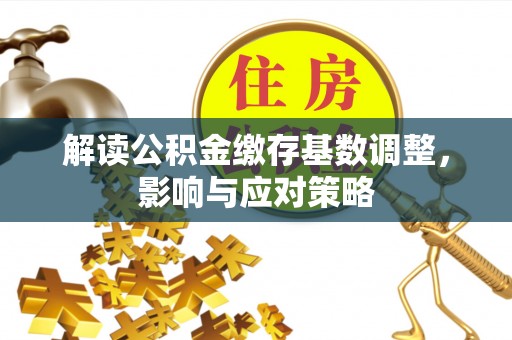 阿拉善左旗解读公积金缴存基数调整，影响与应对策略