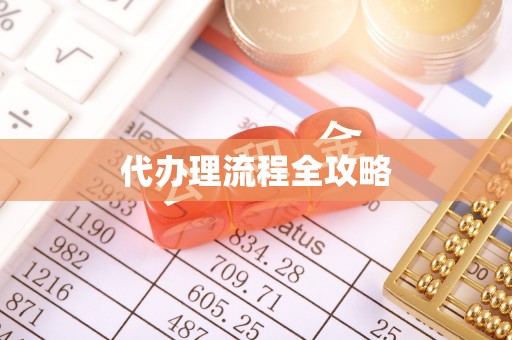 阿拉善左旗代办理流程全攻略