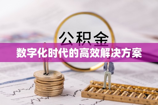 阿拉善左旗数字化时代的高效解决方案