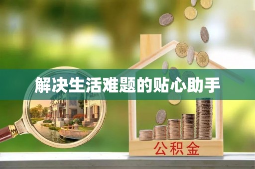 阿拉善左旗解决生活难题的贴心助手