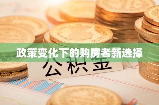 阿拉善左旗政策变化下的购房者新选择