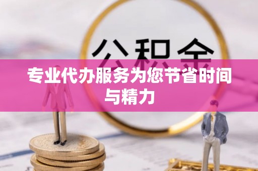 阿拉善左旗专业代办服务为您节省时间与精力