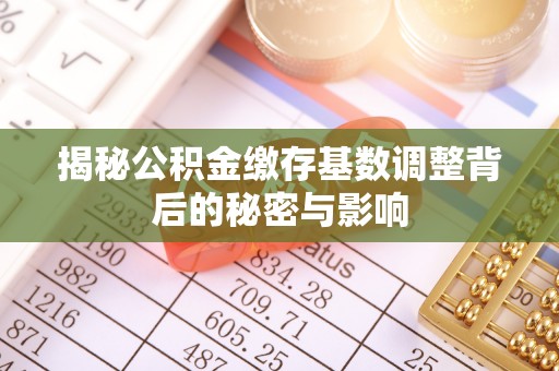 阿拉善左旗揭秘公积金缴存基数调整背后的秘密与影响