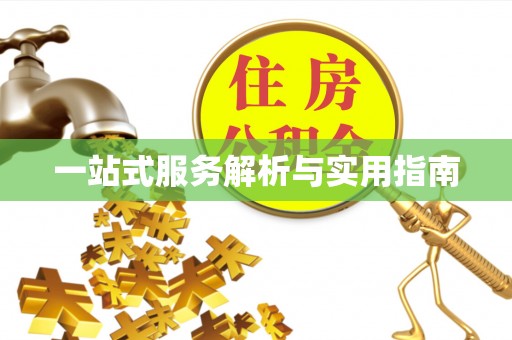 阿拉善左旗一站式服务解析与实用指南