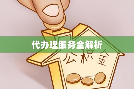 阿拉善左旗代办理服务全解析