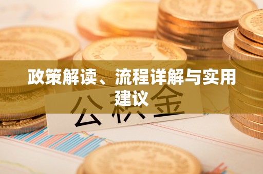 阿拉善左旗政策解读、流程详解与实用建议