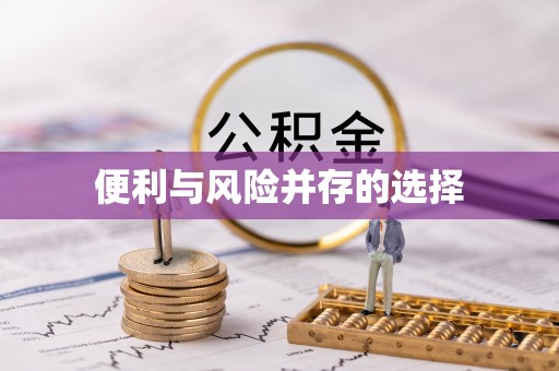 阿拉善左旗便利与风险并存的选择