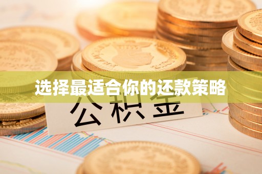 阿拉善左旗选择最适合你的还款策略