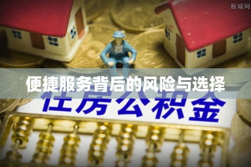阿拉善左旗便捷服务背后的风险与选择