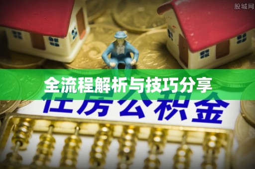 阿拉善左旗全流程解析与技巧分享