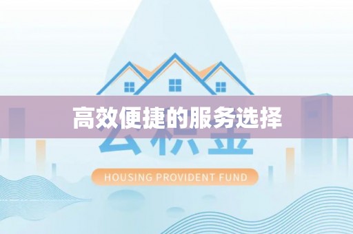阿拉善左旗高效便捷的服务选择