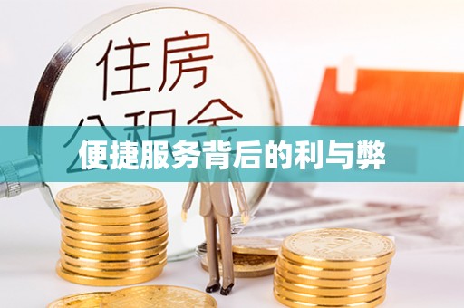 阿拉善左旗便捷服务背后的利与弊